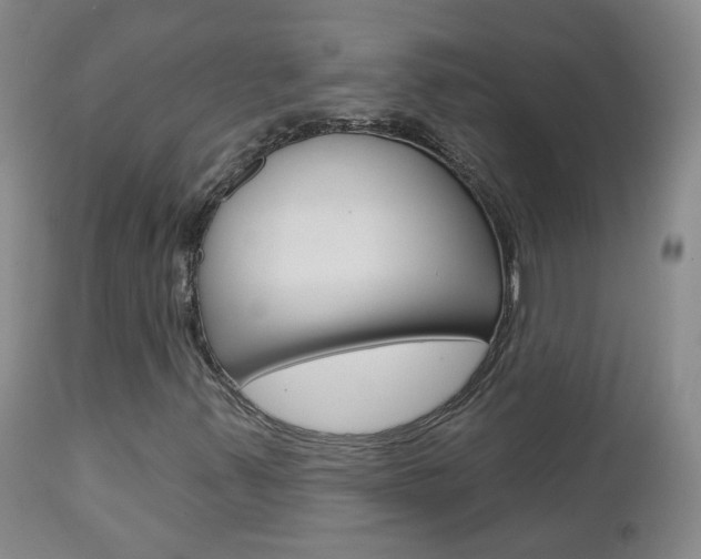 X0000112861347200908211045
