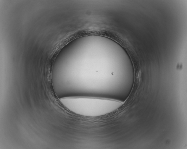 X0000112861348200908211045