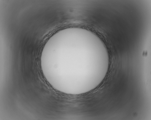 X0000112861349200908211045