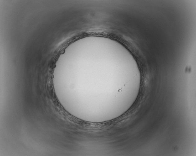 X0000112861350200908211045