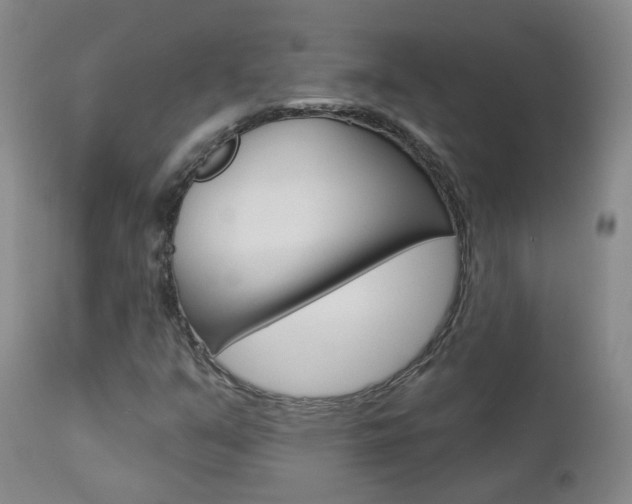 X0000112861351200908211045