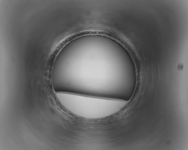 X0000112861352200908211045