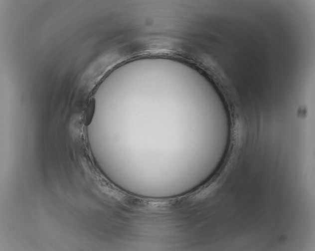 X0000112861353200908211045