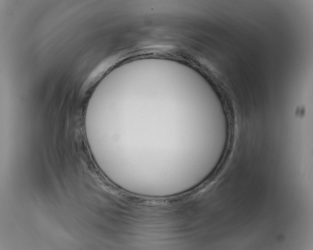 X0000112861354200908211045