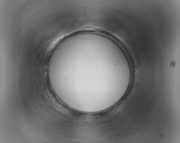 X0000112861355200908211045