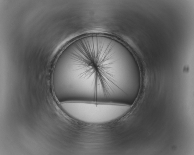 X0000112861356200908211045