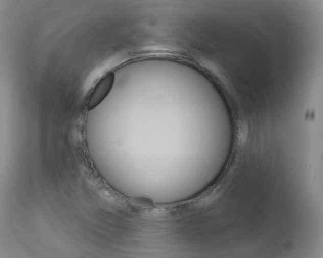 X0000112861357200908211045