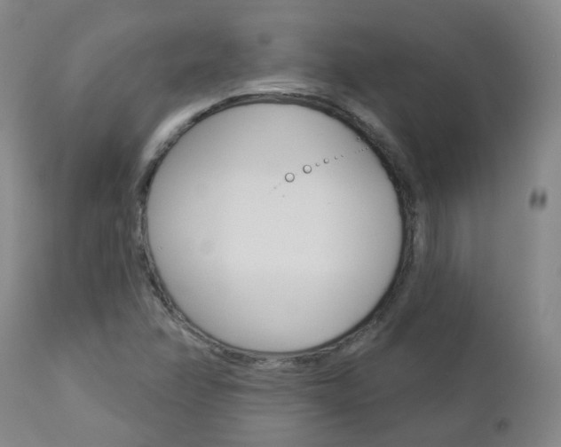 X0000112861358200908211045