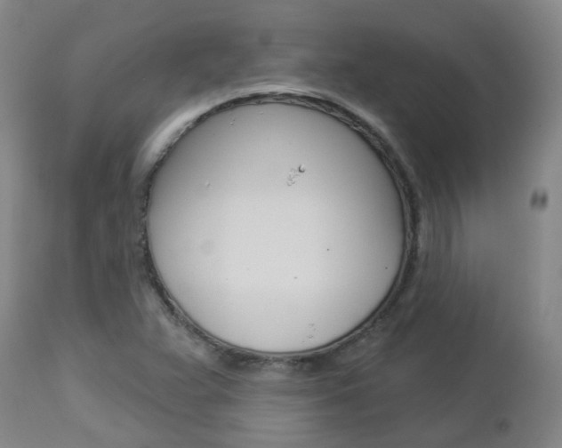 X0000112861359200908211045