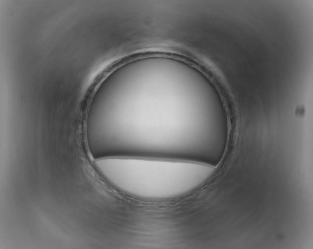 X0000112861360200908211045