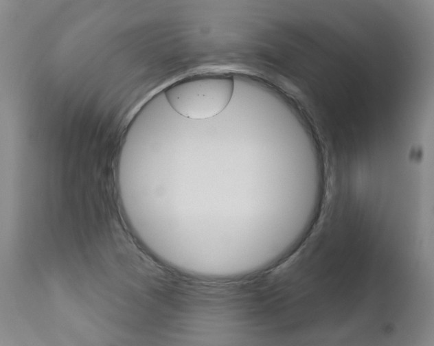 X0000112861361200908211045