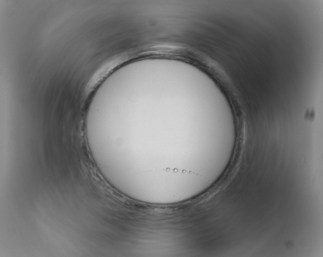 X0000112861362200908211045