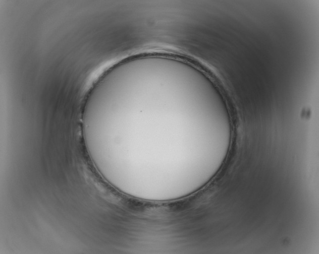 X0000112861363200908211045