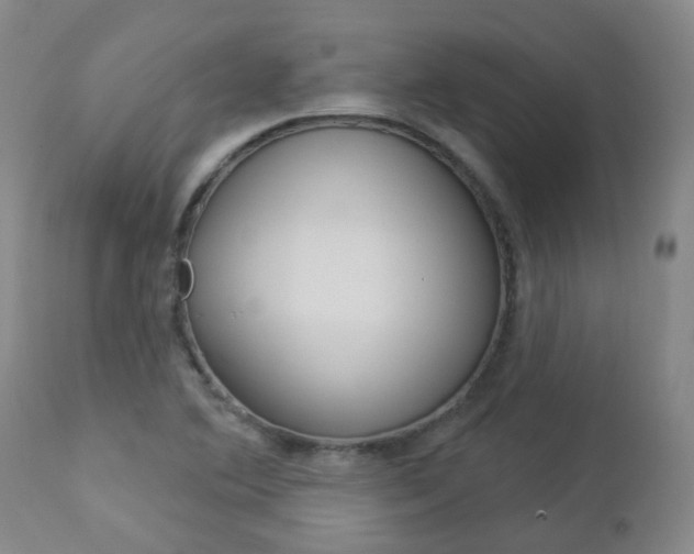 X0000112861364200908211045