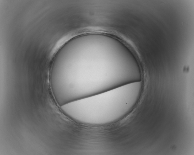 X0000112861365200908211045