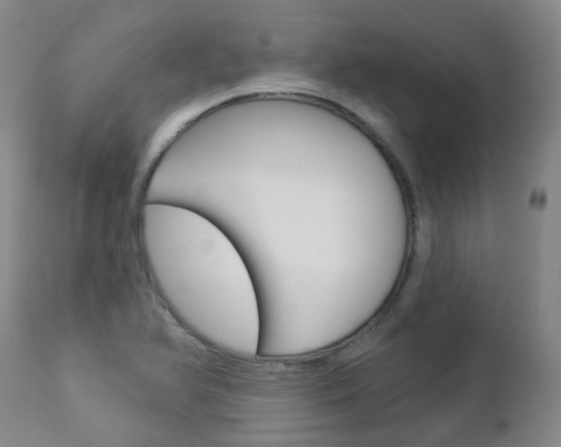 X0000112861366200908211045