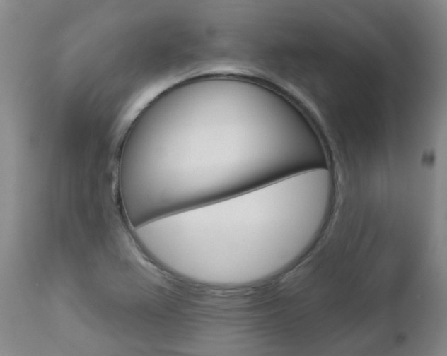 X0000112861367200908211045