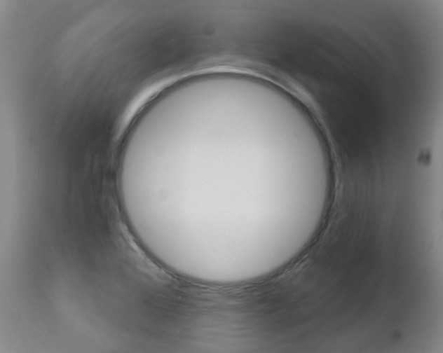 X0000112861368200908211045