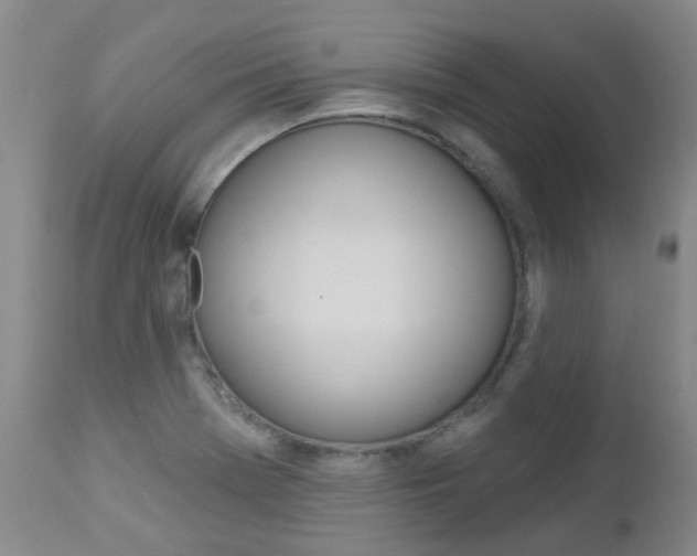 X0000112861369200908211045