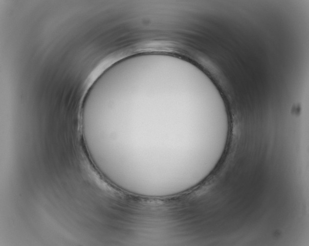 X0000112861370200908211045