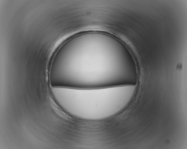 X0000112861372200908211045
