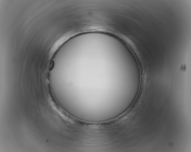 X0000112861373200908211044