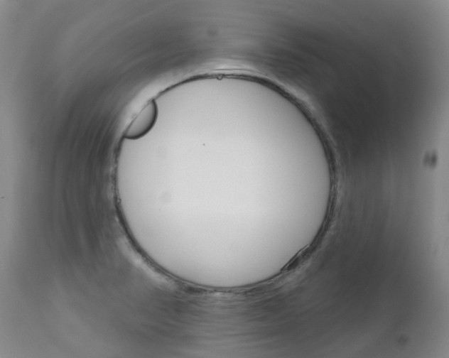 X0000112861374200908211044