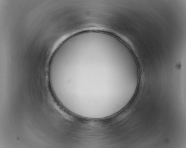 X0000112861375200908211044