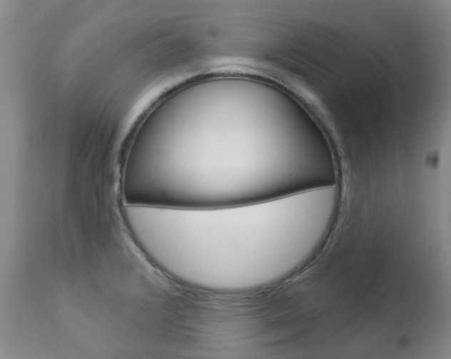 X0000112861376200908211044