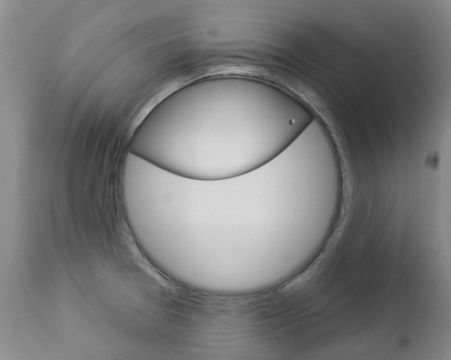 X0000112861377200908211044