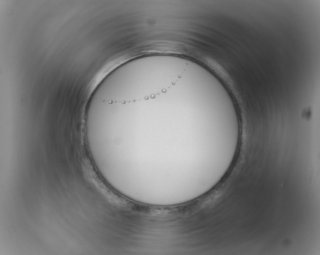 X0000112861378200908211044