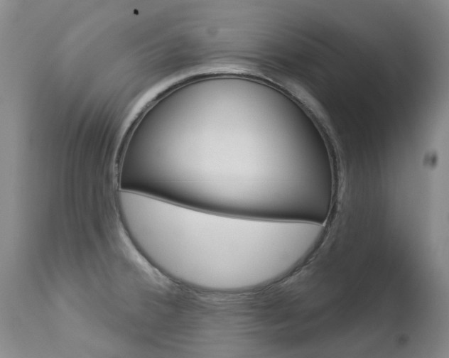 X0000112861380200908211044