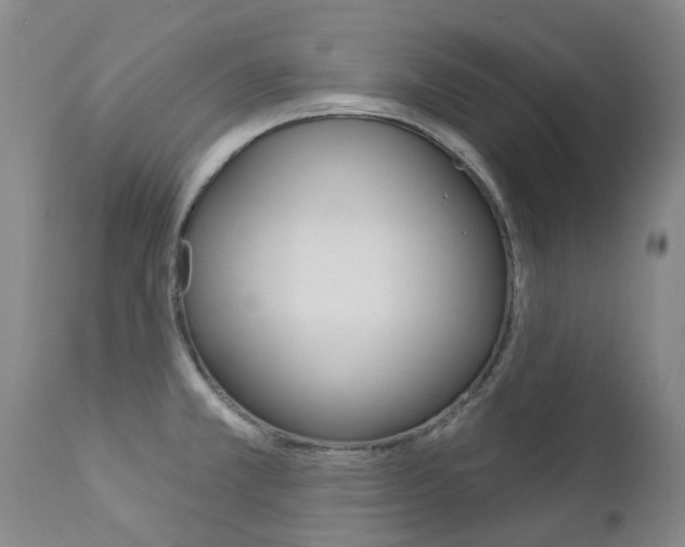 X0000112861381200908211044