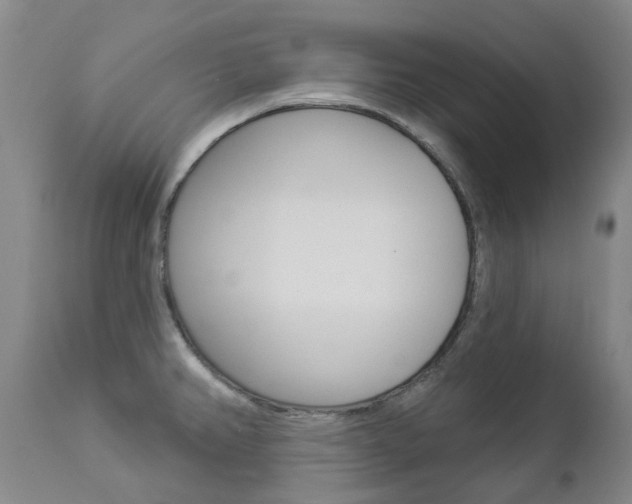 X0000112861382200908211044