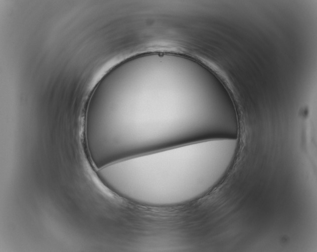 X0000112861383200908211044