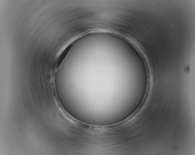 X0000112861385200908211044