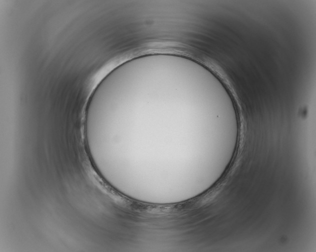 X0000112861386200908211044