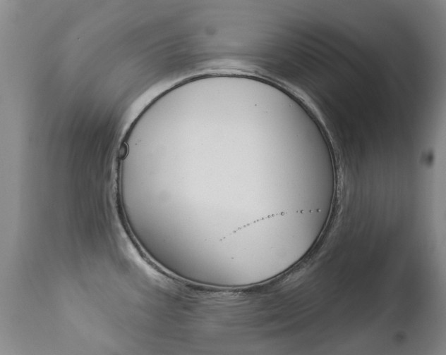 X0000112861387200908211044