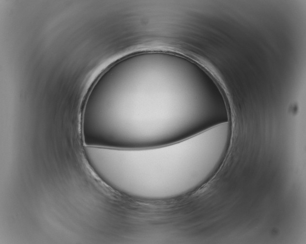 X0000112861388200908211044