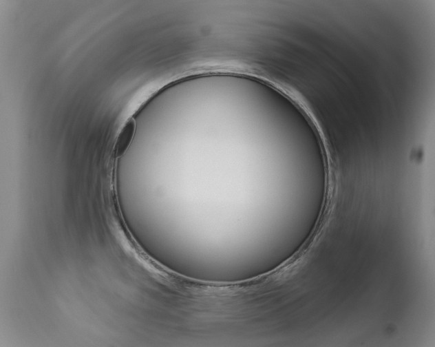 X0000112861389200908211044