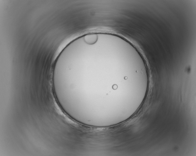 X0000112861390200908211044