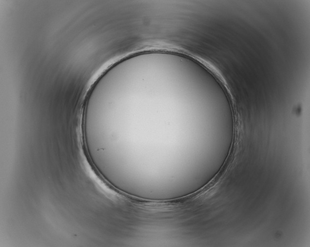 X0000112861391200908211044