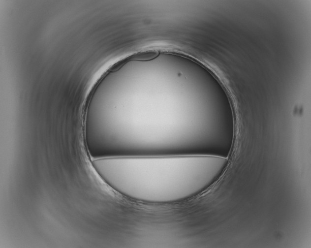 X0000112861392200908211044