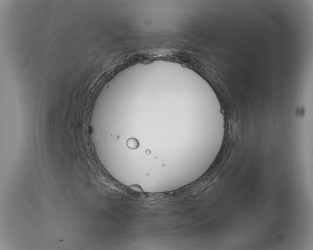 X0000112861393200908211044