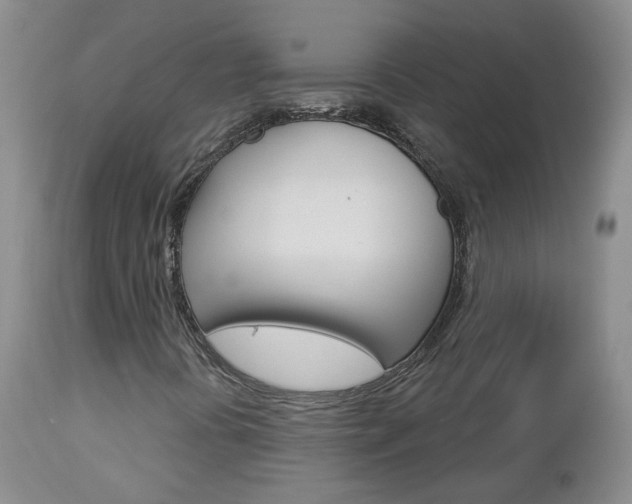 X0000112861394200908211044
