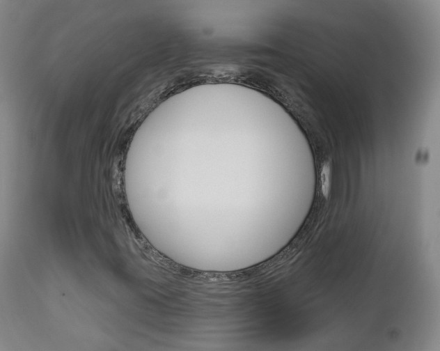 X0000112861395200908211044