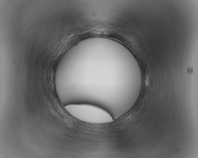 X0000112861396200908211044