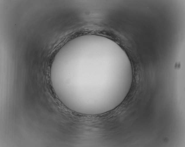 X0000112861397200908211044