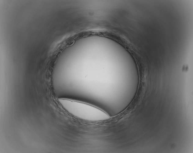 X0000112861398200908211044