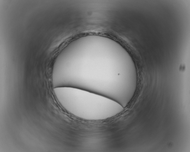 X0000112861399200908211044